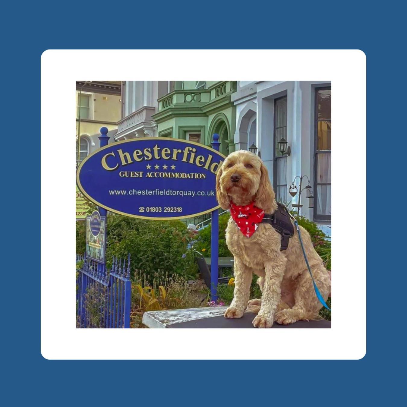 The Chesterfield, Torquay (Adults Only) Exteriér fotografie